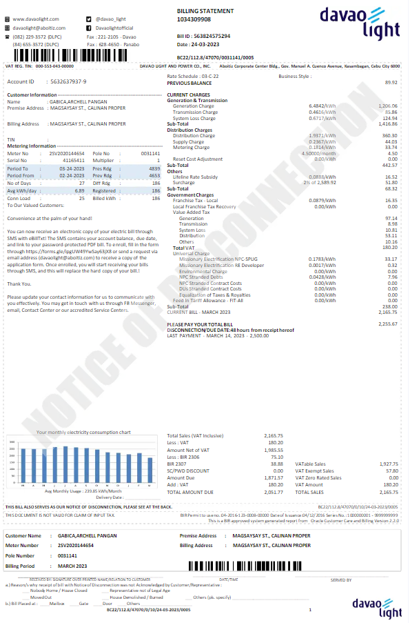 USA DAVAO LIGHT utility bill Word and PDF template